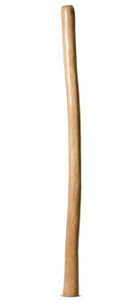 Medium Size Natural Finish Didgeridoo (TW1000)